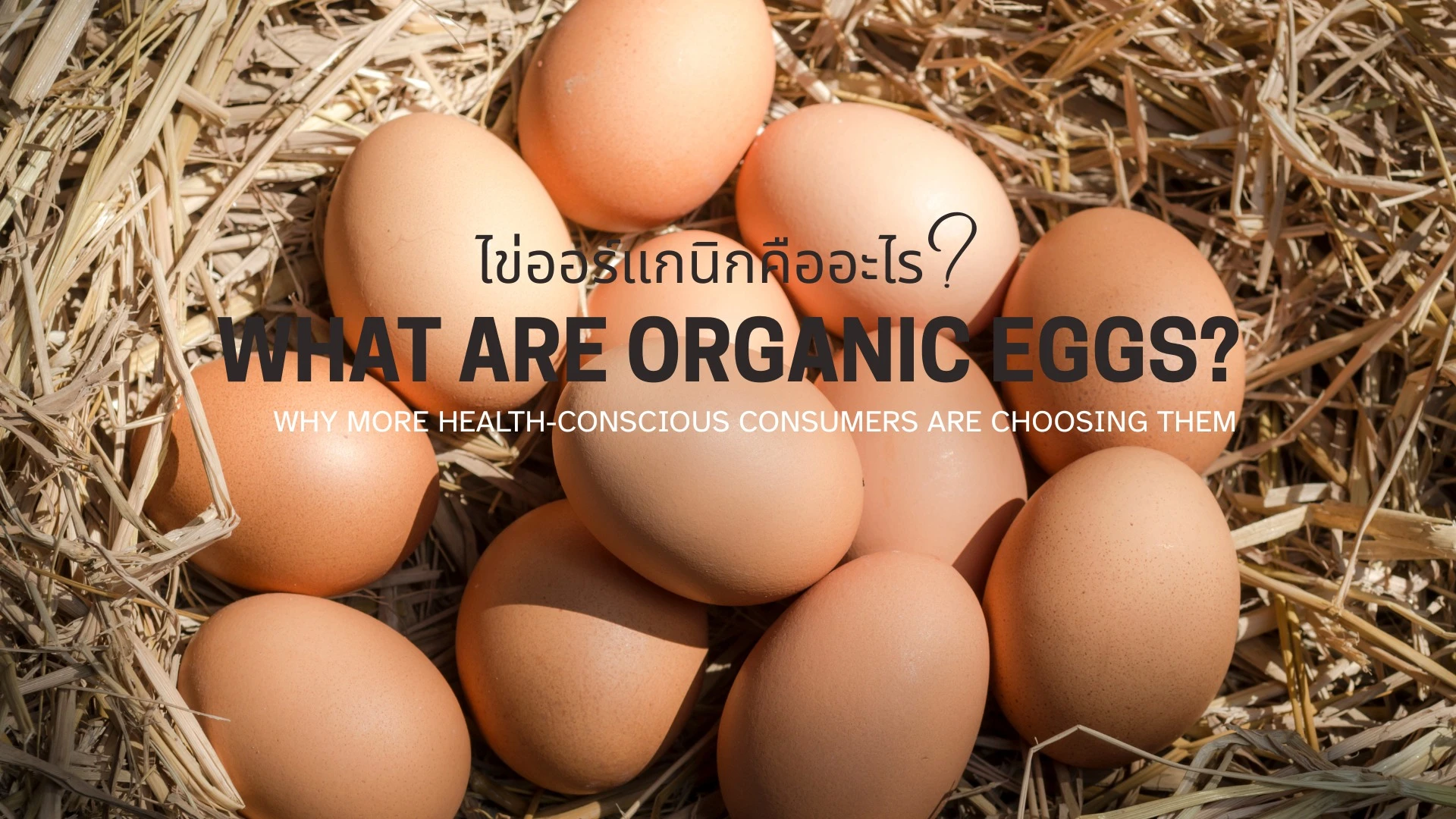 ไข่ออร์แกนิกคืออะไร?