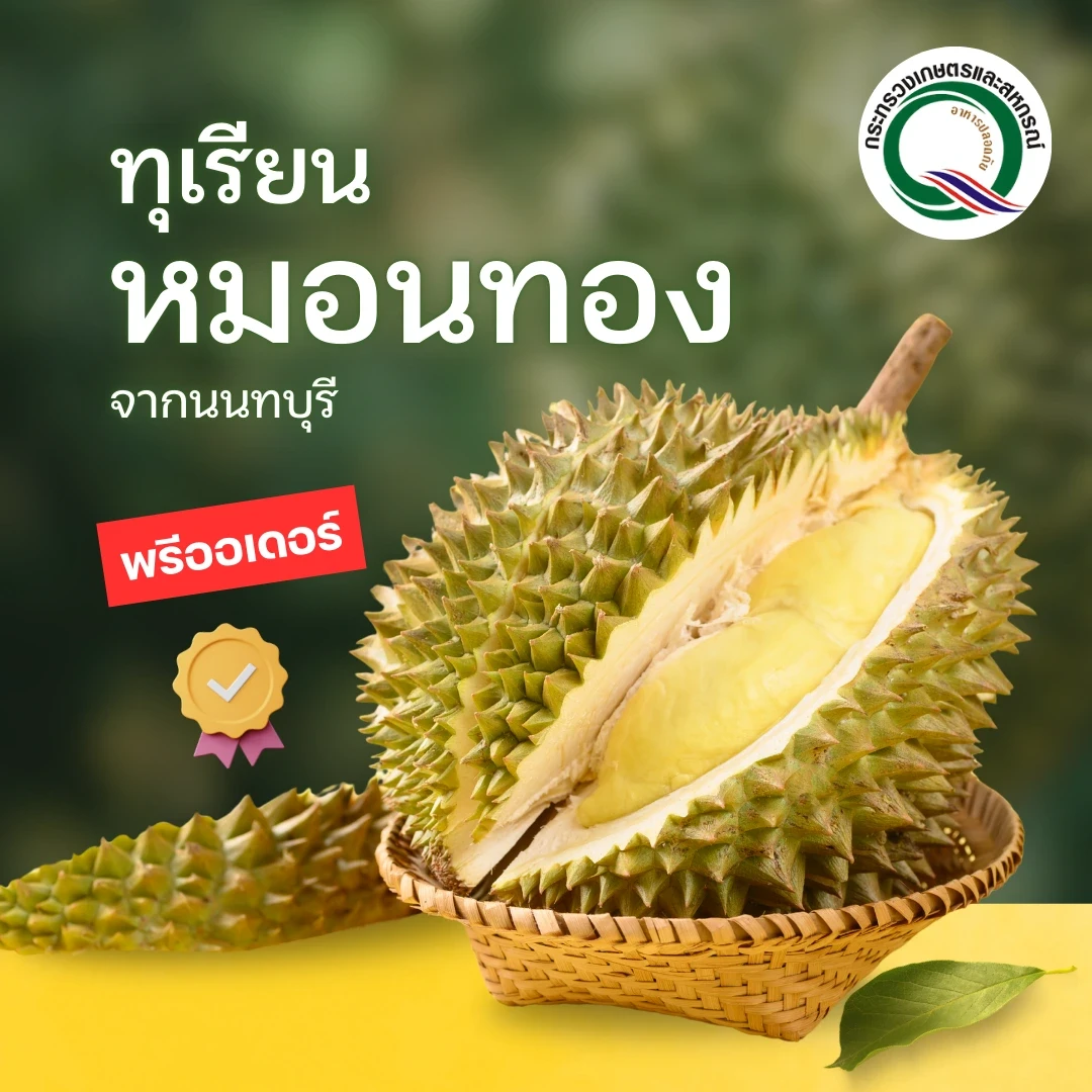 [พรีออเดอร์] ทุเรียนหมอนทอง คัดพิเศษ จากนนทบุรี