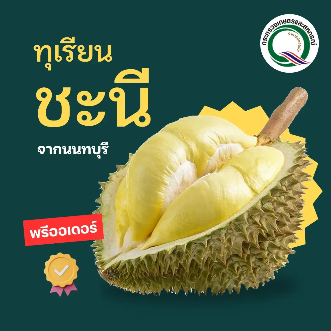 [พรีออเดอร์] ทุเรียนชะนี