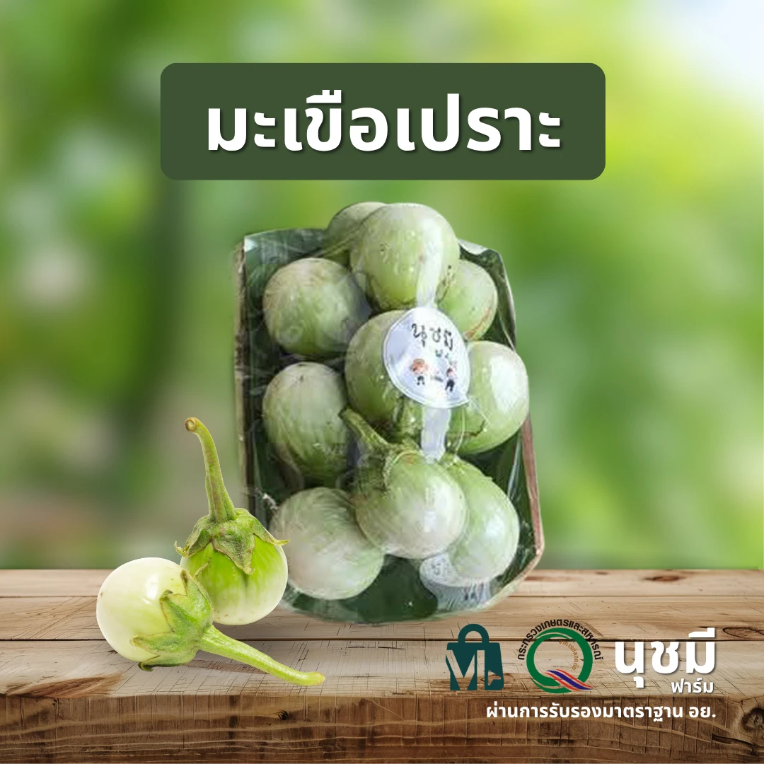 มะเขือเปราะ