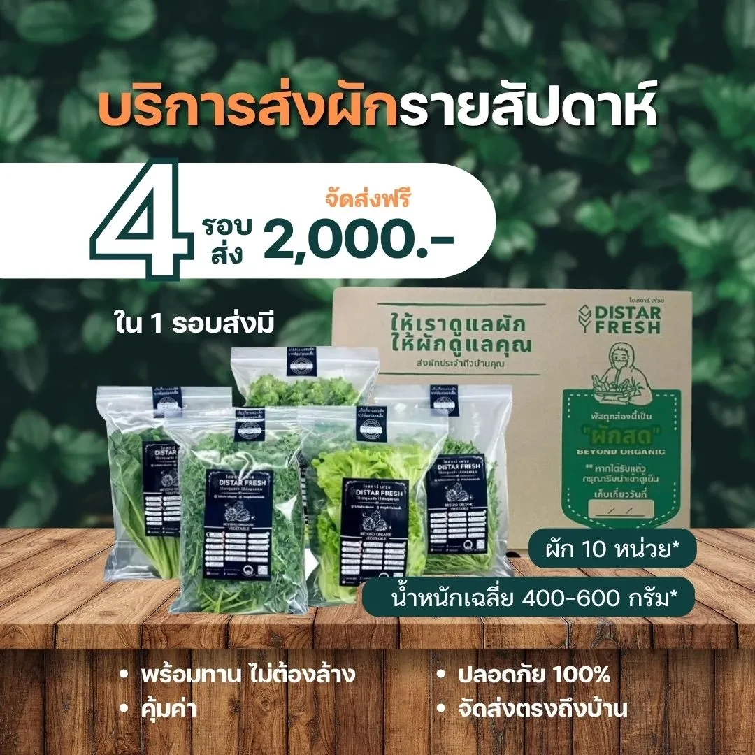 (4 รอบส่ง) ผักสดปลอดสารพิษ พร้อมทานไม่ต้องล้าง เลือกผักได้ - DISTAR FRESH