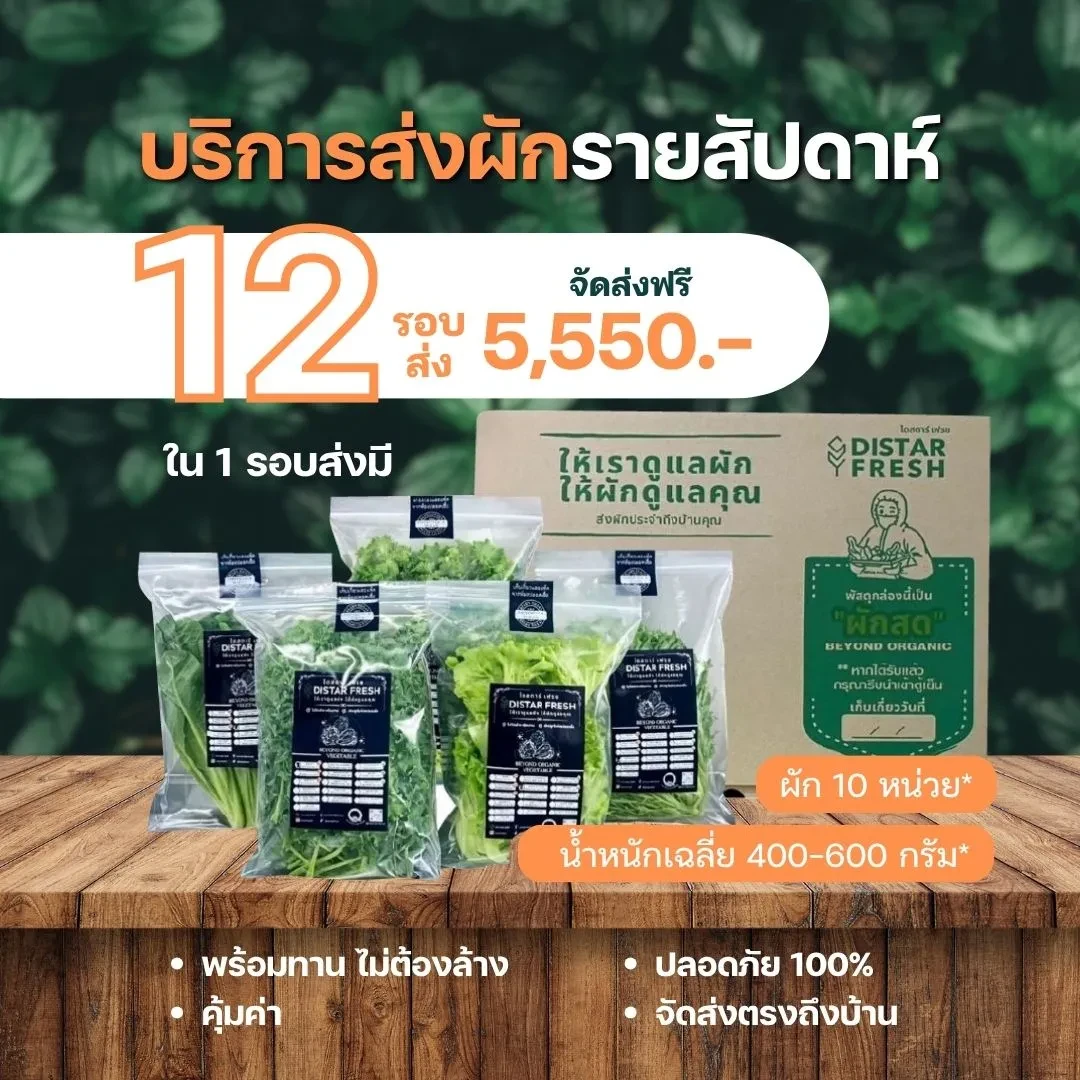 (12 รอบส่ง) ผักสดปลอดสารพิษ พร้อมทานไม่ต้องล้าง เลือกผักได้ - DISTAR FRESH