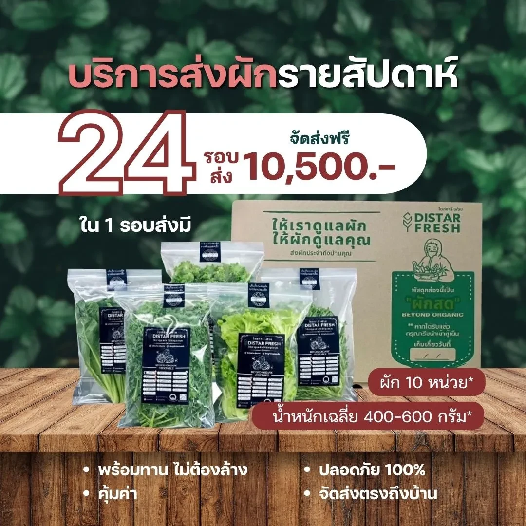 (24 รอบส่ง) ผักสดปลอดสารพิษ พร้อมทานไม่ต้องล้าง เลือกผักได้ - DISTAR FRESH