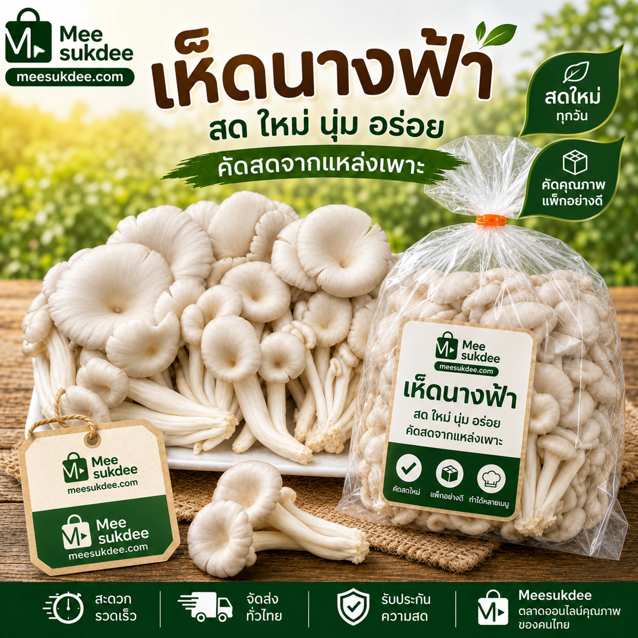 เห็ดนางฟ้าสด-500กรัม