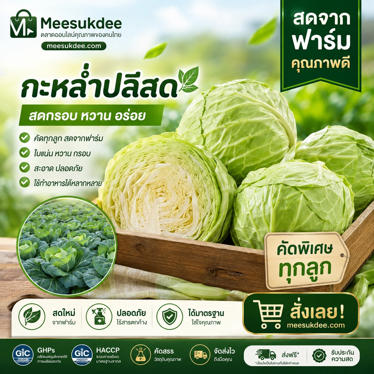 กะหล่ำปลี-500กรัม