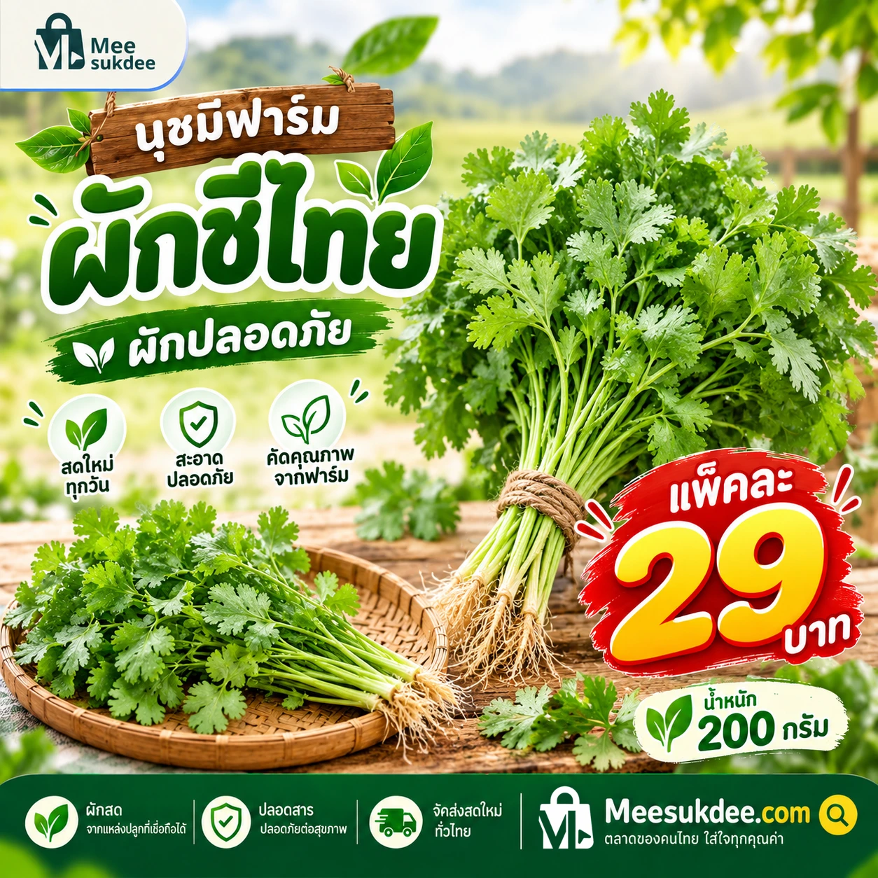 ผักชี 200 กรัม