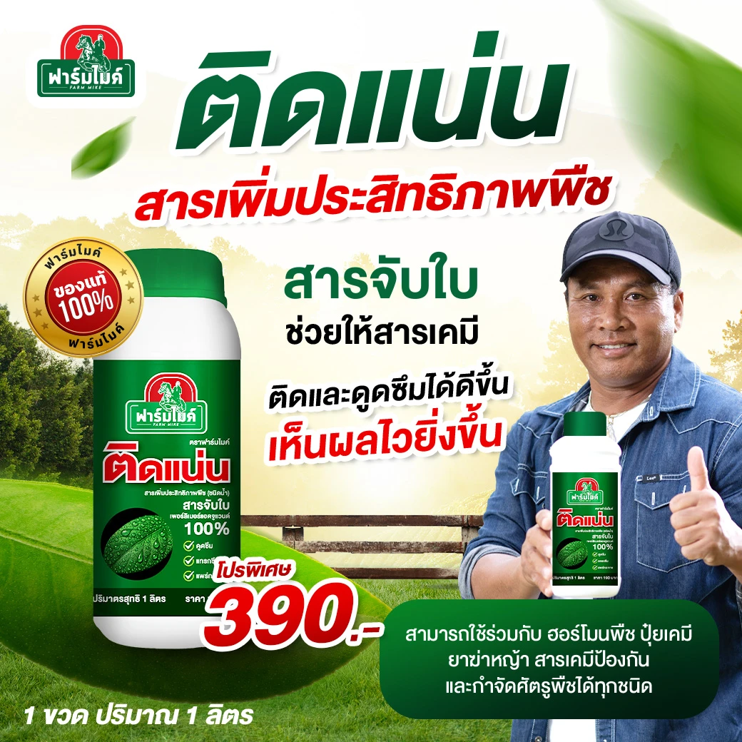 (ติดแน่น) สารจับใบคุณภาพสูง 1 ขวด จากพี่ไมค์ ภิรมย์พร เพิ่มการดูดซึมของปุ๋ย ฉีดพ่นแล้ว ติดทนนาน ซึมไว 1 ขวด