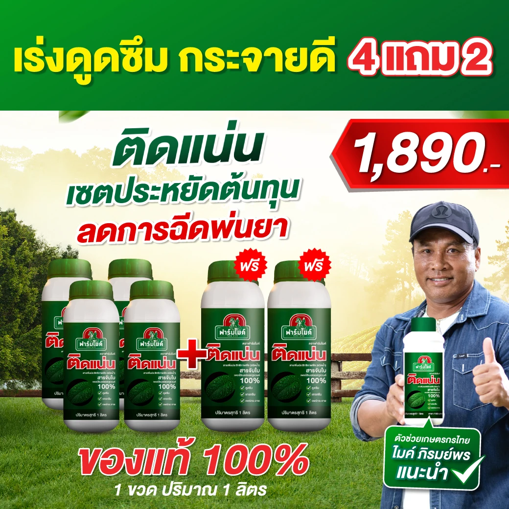 ติดแน่น สารจับใบคุณภาพสูง 1 ขวด จากพี่ไมค์ ภิรมย์พร เพิ่มการดูดซึมของปุ๋ย ฉีดพ่นแล้ว ติดทนนาน ซึมไว โปร 4 ขวด เเถม 2 ขวด