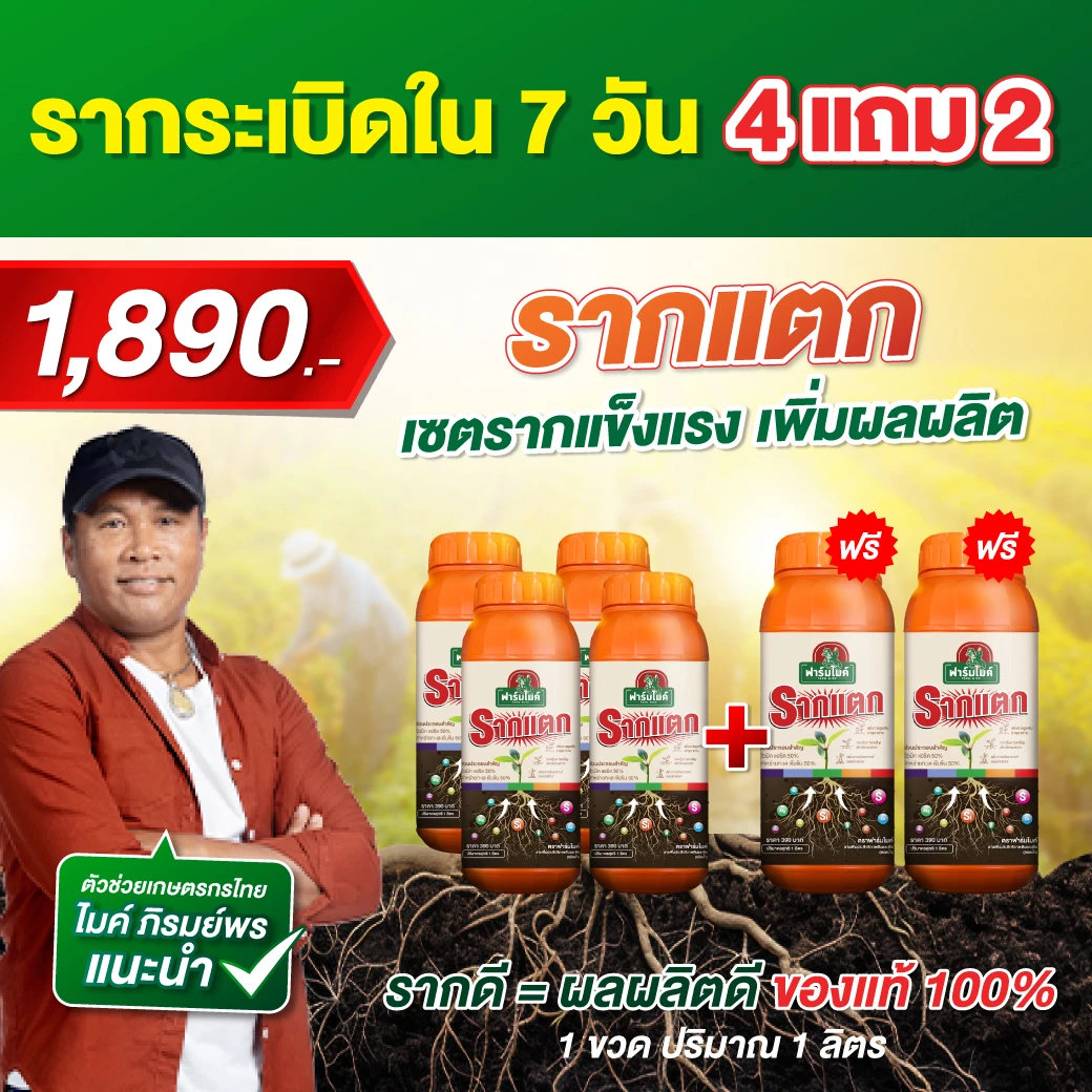 รากแตก โปร 4  ขวด เเถม 2 ขวด ของพี่ไมค์ ภิรมย์พร ตัวช่วยเร่งรากที่เกษตรกรไว้วางใจ 1 ขวด