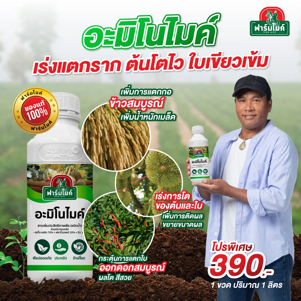 ฟูลวิคไมค์ 1 ขวด ไมค์ ภิรมย์พร แนะนำ ดินแน่น ดินพัง รากไม่เดิน ไม่ดูดซึม พืชไม่กินปุ๋ย แก้ได้ที่ต้นตอ! ตัวช่วยปรับปรุงดินที่เกษตรกรไว้วางใจ