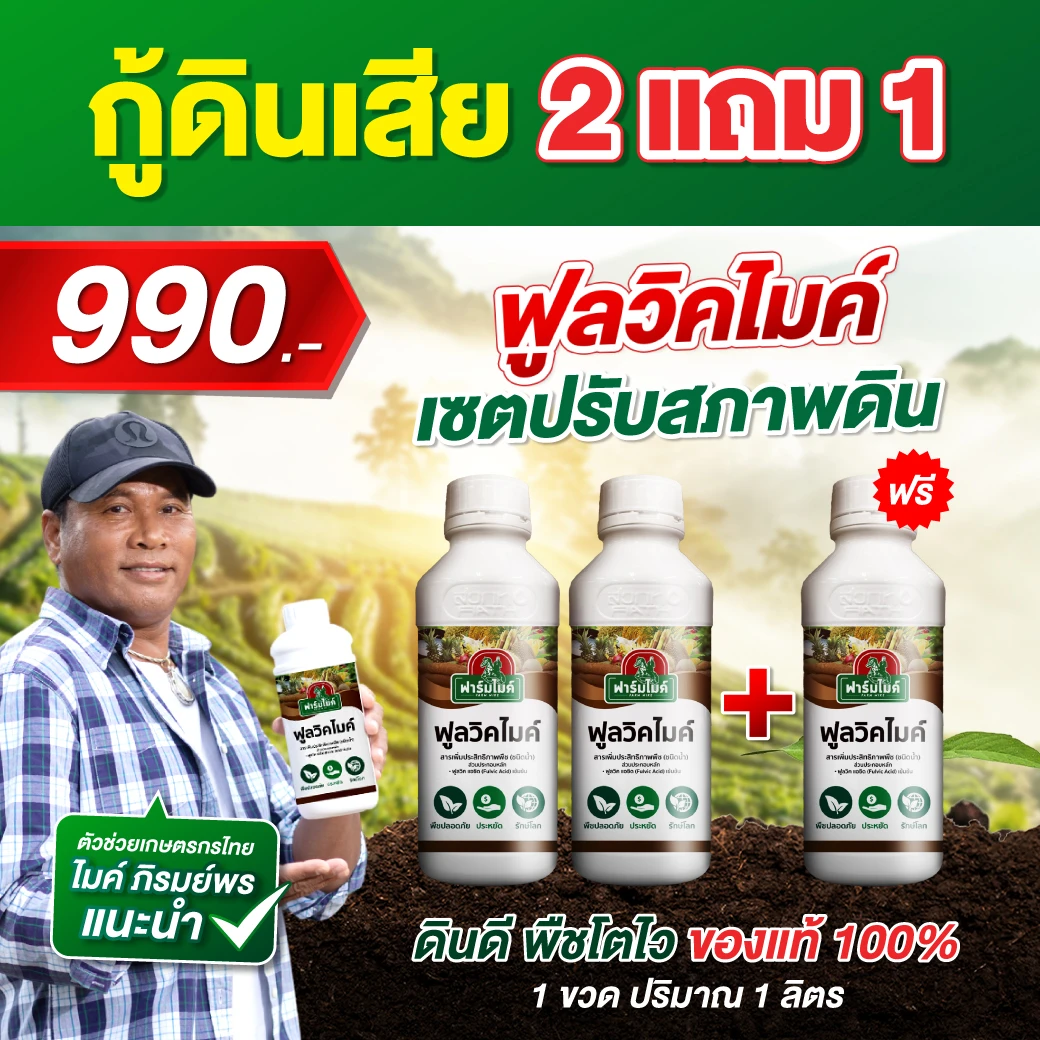 ฟูลวิคไมค์ 2 ขวด เเถม 1 ขวด ไมค์ ภิรมย์พร แนะนำ ดินแน่น ดินพัง รากไม่เดิน ไม่ดูดซึม พืชไม่กินปุ๋ย แก้ได้ที่ต้นตอ! ตัวช่วยปรับปรุงดินที่เกษตรกรไว้วางใจ