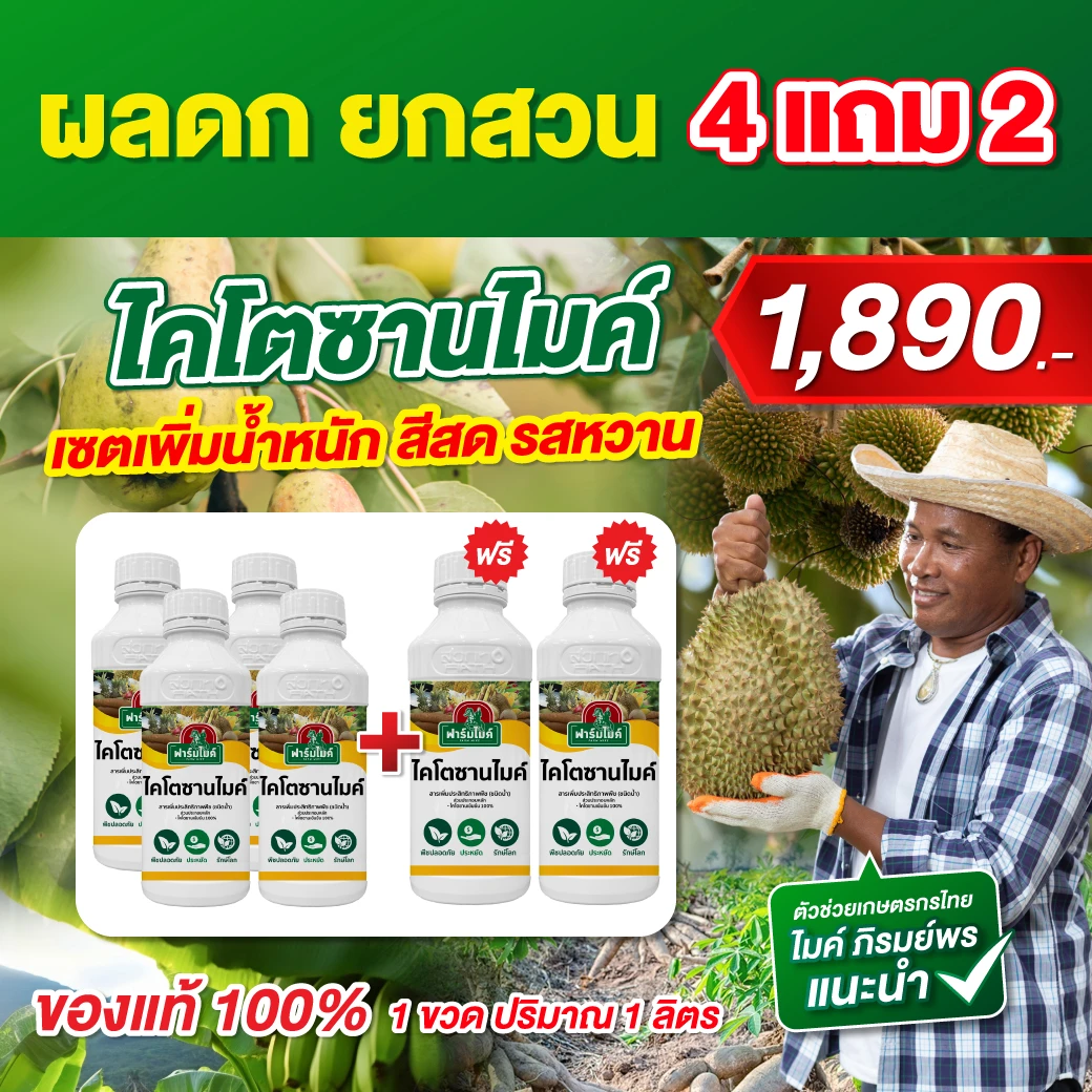 ไคโตซานไมค์ 4 ขวด เเถม 2 ขวด ไมค์ ภิรมย์พร แนะนำ ผลดก ยกสวน ได้น้ำหนัก สีสดรสหวาน เร่งโต  ตัวช่วยเพิ่มคุณภาพผลผลิตที่เกษตรกรไว้วางใจ