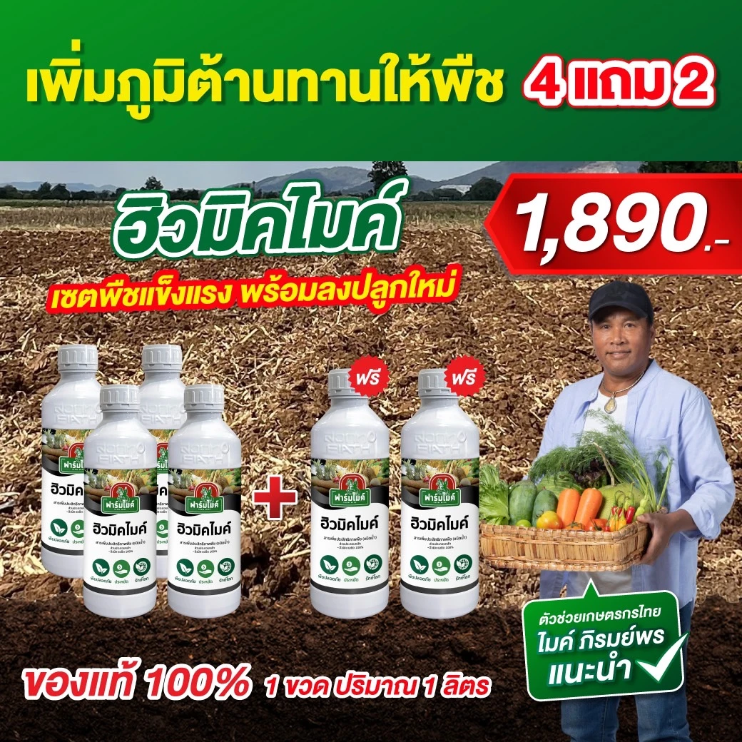 ฮิวมิคไมค์ 4 ขวด เเถม 2 ขวด ไมค์ ภิรมย์พร แนะนำ ฟื้นฟูพืชหลังเก็บเกี่ยวให้พร้อมสำหรับรอบถัดไป ฟื้นต้นทันใจ เร่งราก เร่งแตกยอด